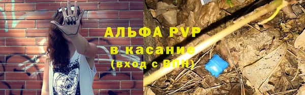 стафф Аркадак