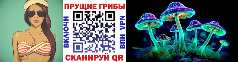 Купить где  Туран  Галлюциногенные грибы MAGIC MUSHROOMS 